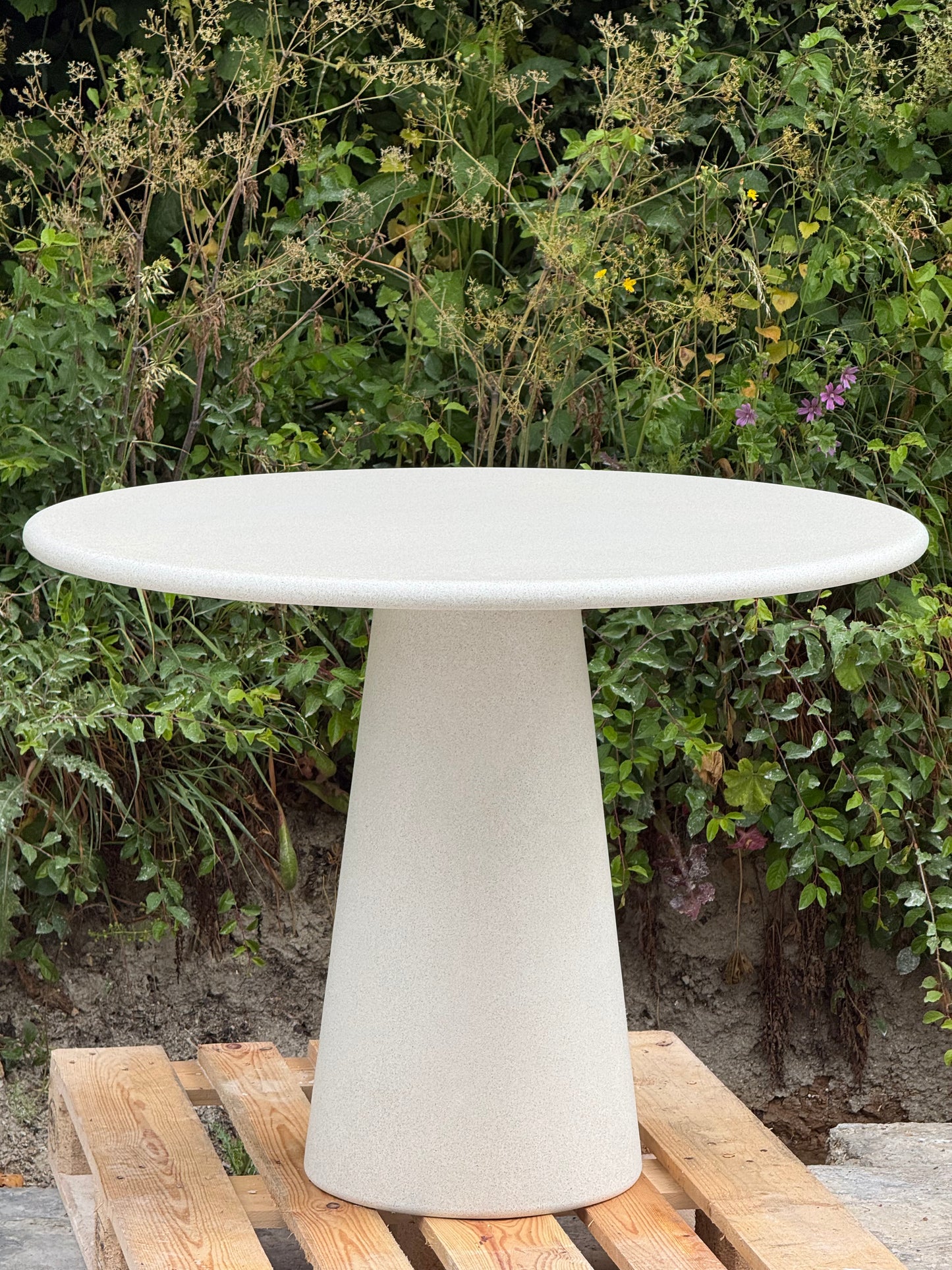 Axis Mini